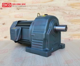 ĐỘNG CƠ GIẢM TỐC CHÂN ĐẾ WANSHSIN GH40-3700W-10S