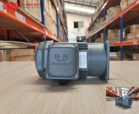 ĐỘNG CƠ GIẢM TỐC MẶT BÍCH WANSHSIN GV18-100W-10S