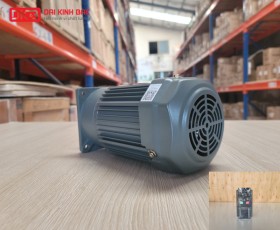 ĐỘNG CƠ GIẢM TỐC MẶT BÍCH WANSHSIN GV18-100W-20S