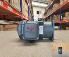 ĐỘNG CƠ GIẢM TỐC MẶT BÍCH WANSHSIN GV18-100W-30S