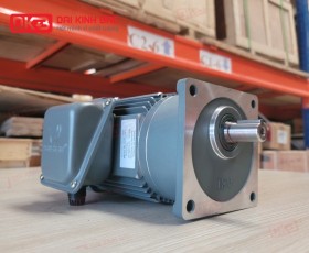 ĐỘNG CƠ GIẢM TỐC MẶT BÍCH WANSHSIN GV18-100W-3S