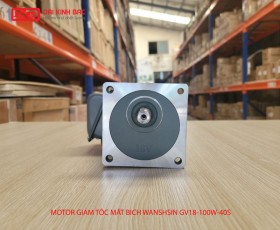 ĐỘNG CƠ GIẢM TỐC MẶT BÍCH WANSHSIN GV18-100W-40S