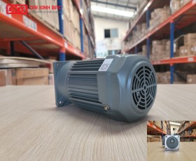 ĐỘNG CƠ GIẢM TỐC MẶT BÍCH WANSHSIN GV18-100W-50S