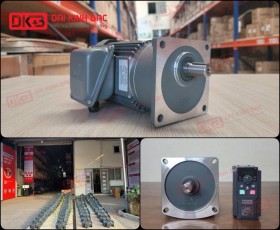 ĐỘNG CƠ GIẢM TỐC MẶT BÍCH WANSHSIN GV18-200W-10S