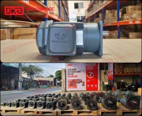 ĐỘNG CƠ GIẢM TỐC MẶT BÍCH WANSHSIN GV18-200W-15S