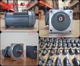 ĐỘNG CƠ GIẢM TỐC MẶT BÍCH WANSHSIN GV18-200W-20S