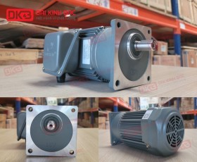 ĐỘNG CƠ GIẢM TỐC MẶT BÍCH WANSHSIN GV18-200W-3S