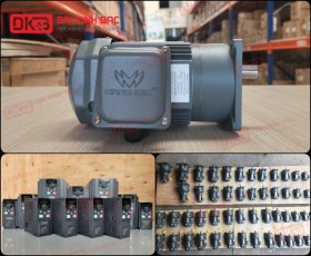 ĐỘNG CƠ GIẢM TỐC MẶT BÍCH WANSHSIN GV18-200W-5S