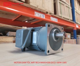 ĐỘNG CƠ GIẢM TỐC MẶT BÍCH WANSHSIN GV22-100W-100S