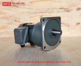 ĐỘNG CƠ GIẢM TỐC MẶT BÍCH WANSHSIN GV22-100W-200S