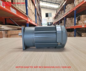 ĐỘNG CƠ GIẢM TỐC MẶT BÍCH WANSHSIN GV22-100W-60S