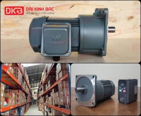 ĐỘNG CƠ GIẢM TỐC MẶT BÍCH WANSHSIN GV22-200W-100S
