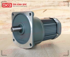 ĐỘNG CƠ GIẢM TỐC MẶT BÍCH WANSHSIN GV22-200W-15S