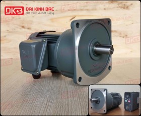 ĐỘNG CƠ GIẢM TỐC MẶT BÍCH WANSHSIN GV22-200W-20S