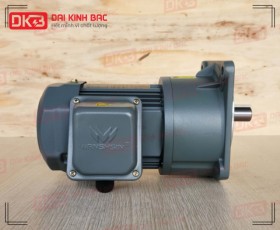 ĐỘNG CƠ GIẢM TỐC MẶT BÍCH WANSHSIN GV22-200W-25S