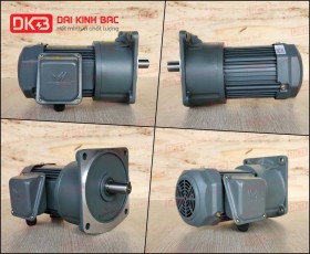 ĐỘNG CƠ GIẢM TỐC MẶT BÍCH WANSHSIN GV22-200W-30S