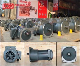 ĐỘNG CƠ GIẢM TỐC MẶT BÍCH WANSHSIN GV22-200W-40S