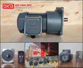 ĐỘNG CƠ GIẢM TỐC MẶT BÍCH WANSHSIN GV22-200W-50S