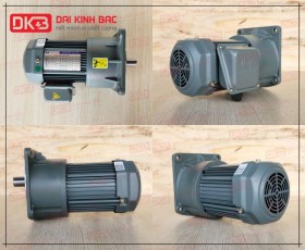 ĐỘNG CƠ GIẢM TỐC MẶT BÍCH WANSHSIN GV22-200W-80S