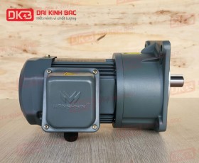 ĐỘNG CƠ GIẢM TỐC MẶT BÍCH WANSHSIN GV22-400W-20S