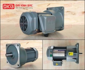 ĐỘNG CƠ GIẢM TỐC MẶT BÍCH WANSHSIN GV28-400W-15S