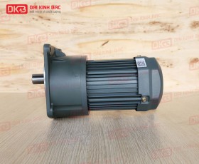 ĐỘNG CƠ GIẢM TỐC MẶT BÍCH WANSHSIN GV28-100W-200S