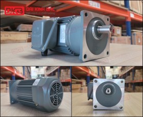 ĐỘNG CƠ GIẢM TỐC MẶT BÍCH WANSHSIN GV28-100W-600S