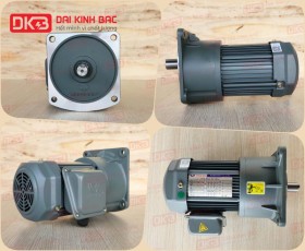 ĐỘNG CƠ GIẢM TỐC MẶT BÍCH WANSHSIN GV28-200W-100S