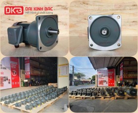 ĐỘNG CƠ GIẢM TỐC MẶT BÍCH WANSHSIN GV28-200W-120S