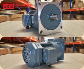 ĐỘNG CƠ GIẢM TỐC MẶT BÍCH WANSHSIN GV28-200W-150S