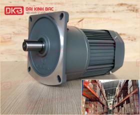 ĐỘNG CƠ GIẢM TỐC MẶT BÍCH WANSHSIN GV28-200W-200S