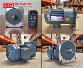ĐỘNG CƠ GIẢM TỐC MẶT BÍCH WANSHSIN GV28-400W-30S