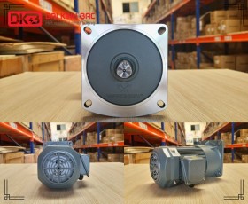 ĐỘNG CƠ GIẢM TỐC MẶT BÍCH WANSHSIN GV28-750W-20S