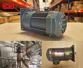 ĐỘNG CƠ GIẢM TỐC MẶT BÍCH WANSHSIN GV28-750W-25S