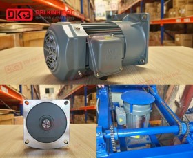 ĐỘNG CƠ GIẢM TỐC MẶT BÍCH WANSHSIN GV28-750W-30S
