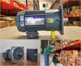 ĐỘNG CƠ GIẢM TỐC MẶT BÍCH WANSHSIN GV28-750W-3S