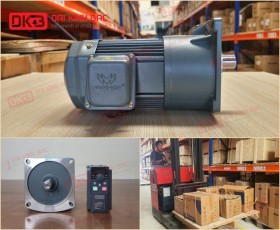 ĐỘNG CƠ GIẢM TỐC MẶT BÍCH WANSHSIN GV28-750W-5S