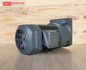 ĐỘNG CƠ GIẢM TỐC MẶT BÍCH WANSHSIN GV32-1500W-10S
