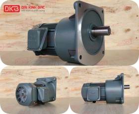 ĐỘNG CƠ GIẢM TỐC MẶT BÍCH WANSHSIN GV32-1500W-25S
