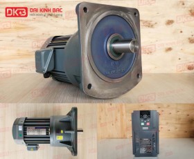 ĐỘNG CƠ GIẢM TỐC MẶT BÍCH WANSHSIN GV32-2200W-5S