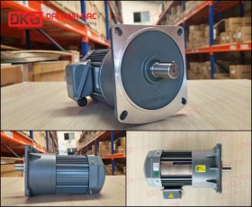 ĐỘNG CƠ GIẢM TỐC MẶT BÍCH WANSHSIN GV32-400W-120S