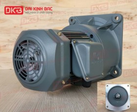 ĐỘNG CƠ GIẢM TỐC MẶT BÍCH WANSHSIN GV32-750W-100S