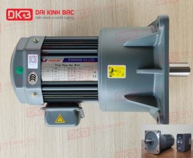 ĐỘNG CƠ GIẢM TỐC MẶT BÍCH WANSHSIN GV32-750W-120S