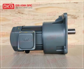 ĐỘNG CƠ GIẢM TỐC MẶT BÍCH WANSHSIN GV32-750W-30S