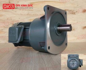ĐỘNG CƠ GIẢM TỐC MẶT BÍCH WANSHSIN GV32-750W-40S
