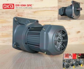 ĐỘNG CƠ GIẢM TỐC MẶT BÍCH WANSHSIN GV32-750W-80S