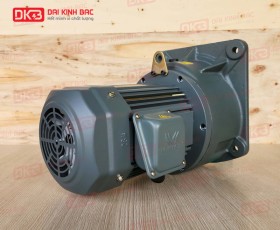 ĐỘNG CƠ GIẢM TỐC MẶT BÍCH WANSHSIN GV40-1500W-40S