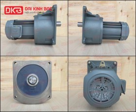 ĐỘNG CƠ GIẢM TỐC MẶT BÍCH WANSHSIN GV40-2200W-25S