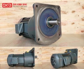 ĐỘNG CƠ GIẢM TỐC MẶT BÍCH WANSHSIN GV40-2200W-60S