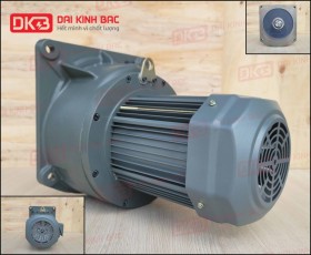 ĐỘNG CƠ GIẢM TỐC MẶT BÍCH WANSHSIN GV40-3700W-10S